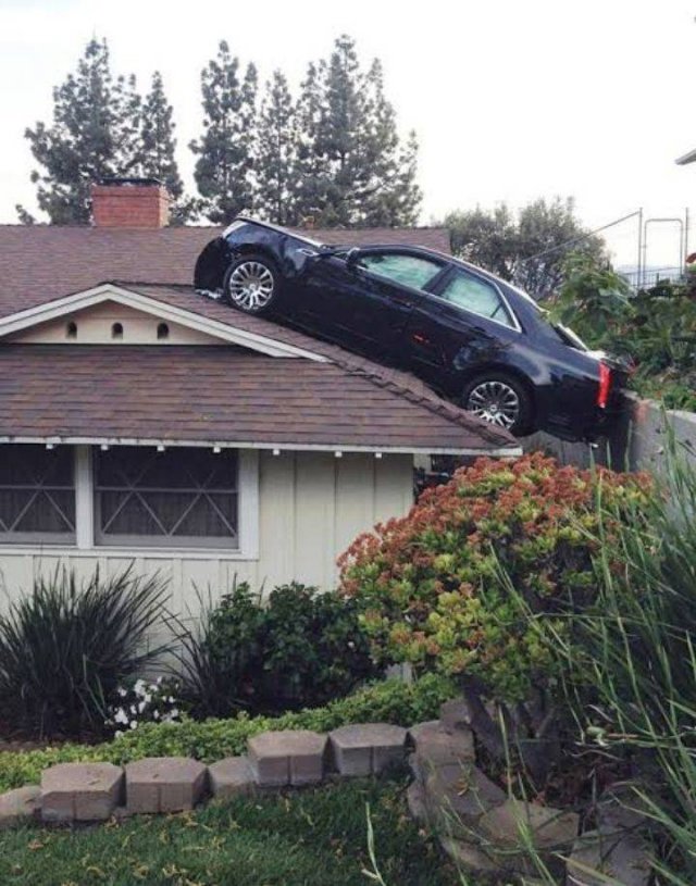 Acid Picdump. Part 1 (95 pics)