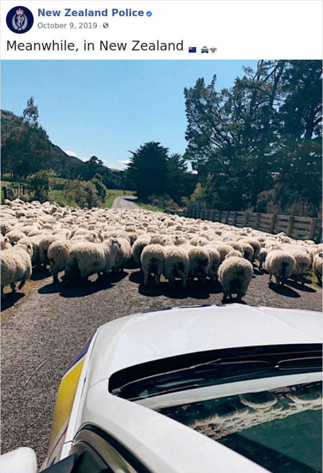 New Zealand Police Knows How To Facebook (30 pics)