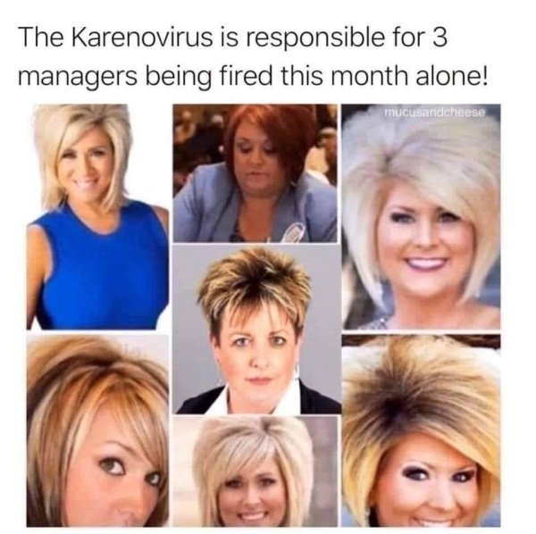 Karen Memes (32 pics)
