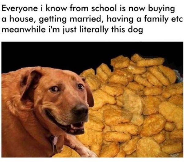 Chicken Nuggets Memes (36 pics)