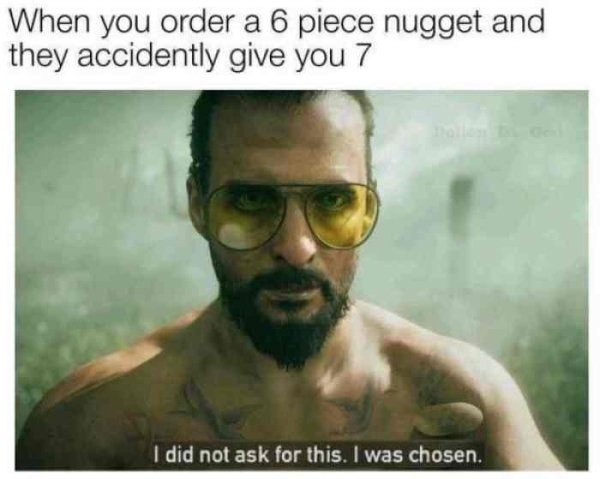 Chicken Nuggets Memes (36 pics)