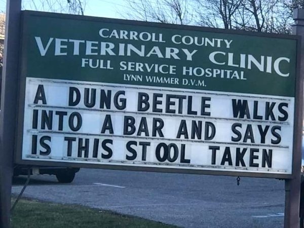 Dirty Humor (35 pics)