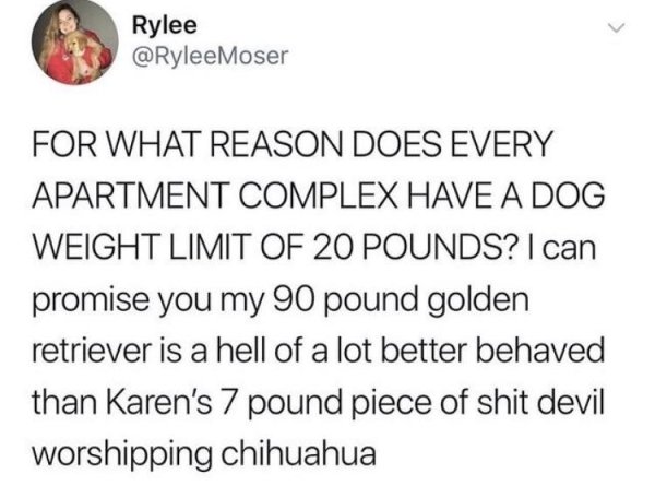 Karen Memes (32 pics)
