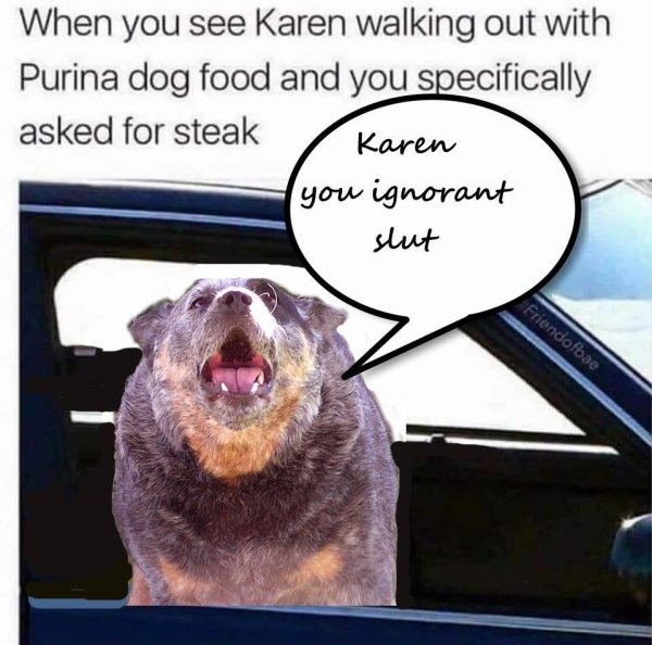 Karen Memes (32 pics)