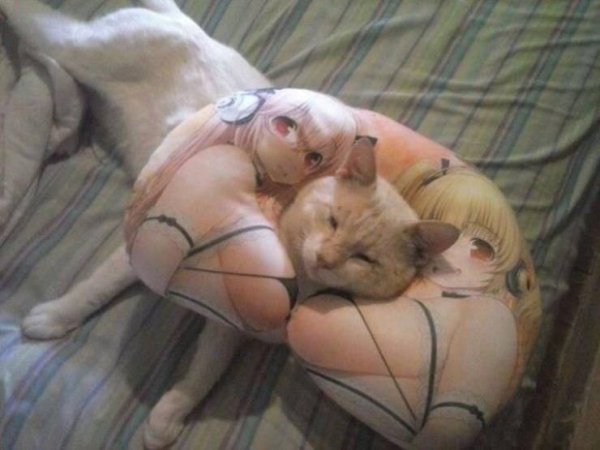 Dirty Humor (35 pics)