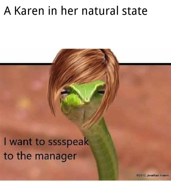 Karen Memes (32 pics)