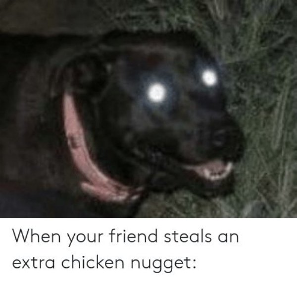 Chicken Nuggets Memes (36 pics)
