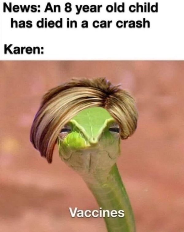 Karen Memes (32 pics)