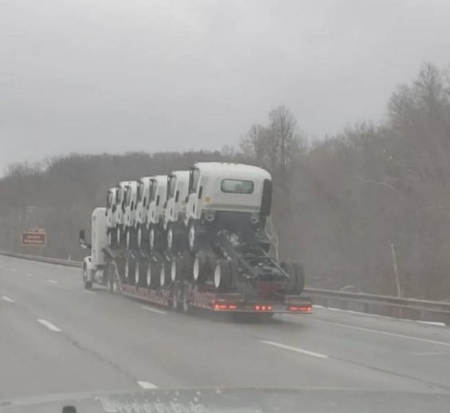 Acid Picdump. Part 2 (99 pics)