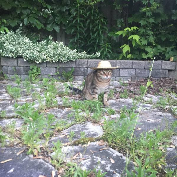 Acid Picdump. Part 1 (99 pics)