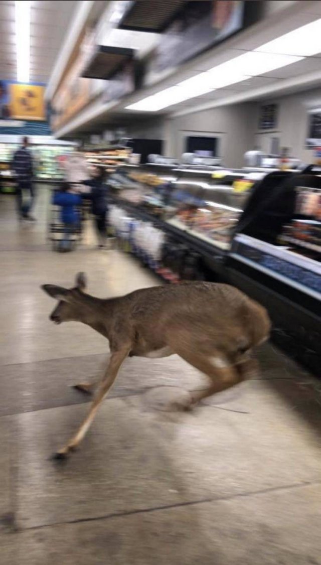 Acid Picdump. Part 2 (99 pics)