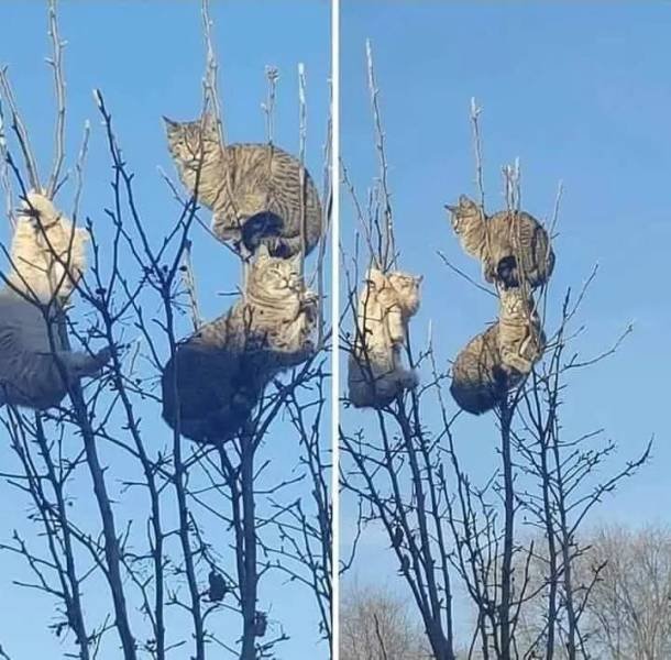 Acid Picdump. Part 1 (99 pics)