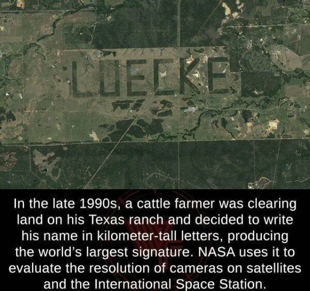 Acid Picdump. Part 1 (99 pics)