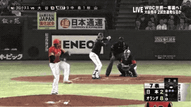 Wins And Fails (33 gifs)