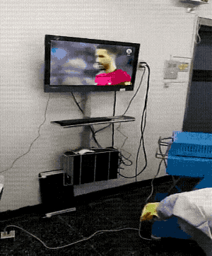 Wins And Fails (33 gifs)