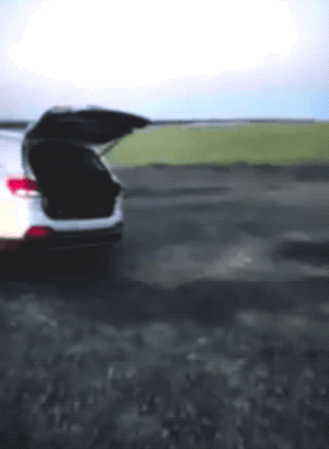 Wins And Fails (33 gifs)