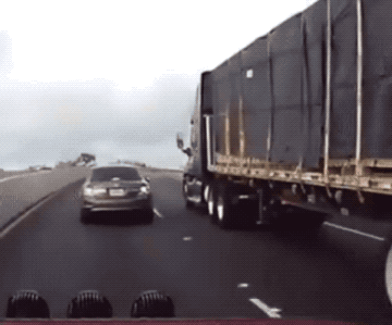 Wins And Fails (33 gifs)