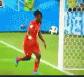Wins And Fails (33 gifs)
