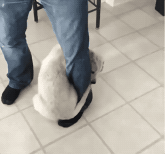 Wins And Fails (33 gifs)