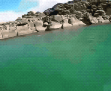 Wins And Fails (33 gifs)