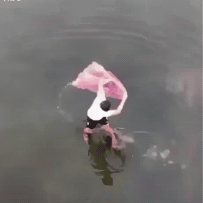 Wins And Fails (33 gifs)