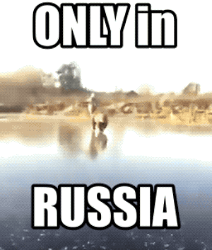 Wins And Fails (33 gifs)
