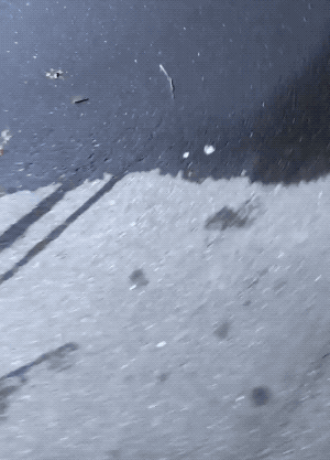 Wins And Fails (33 gifs)