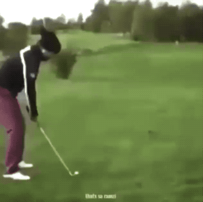 Wins And Fails (33 gifs)