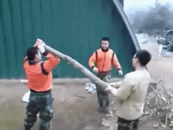 Wins And Fails (33 gifs)
