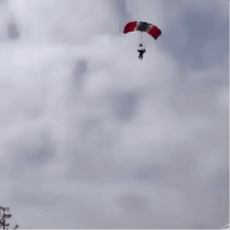 Wins And Fails (33 gifs)