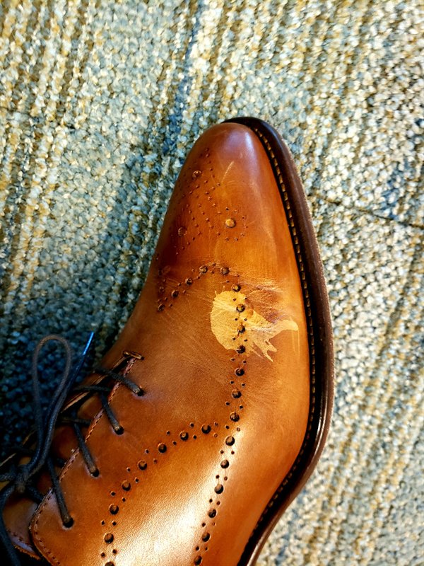 Bad Days Happen (28 pics)