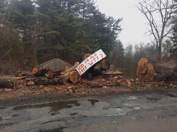 Bad Days Happen (28 pics)