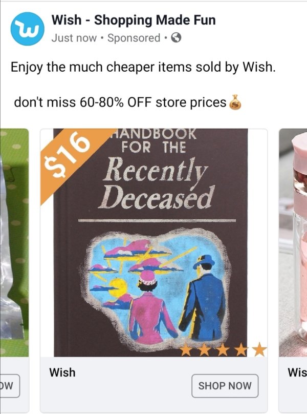 Insane Wish.com Recommendations (26 pics)