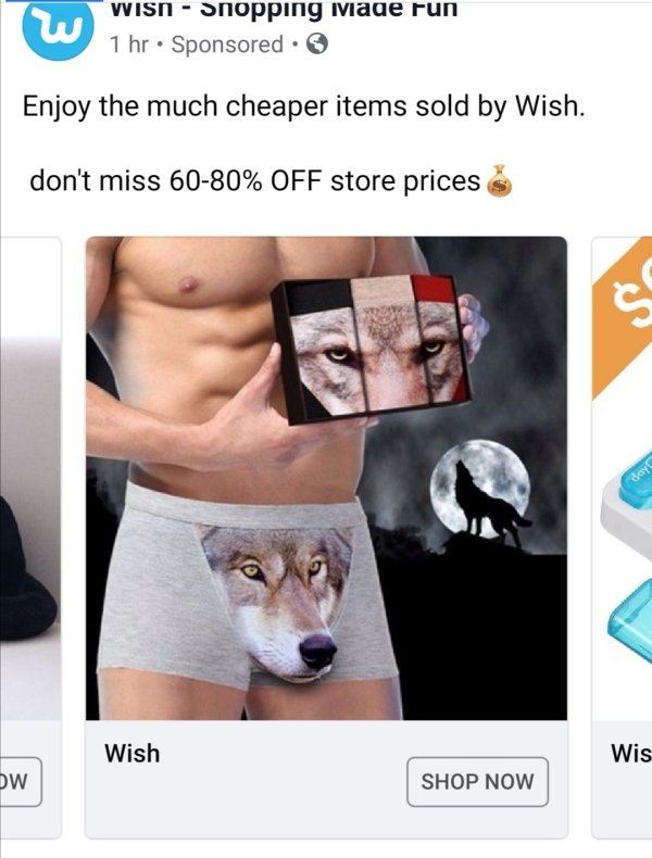Insane Wish.com Recommendations (26 pics)