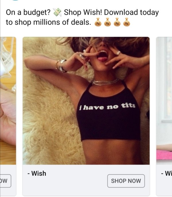 Insane Wish.com Recommendations (26 pics)