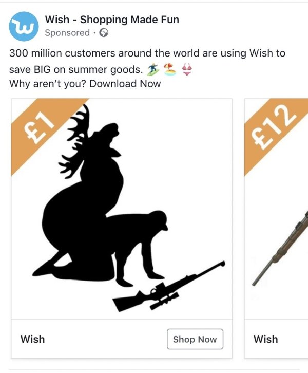 Insane Wish.com Recommendations (26 pics)