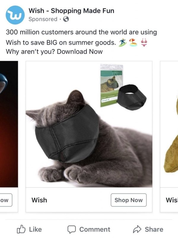 Insane Wish.com Recommendations (26 pics)