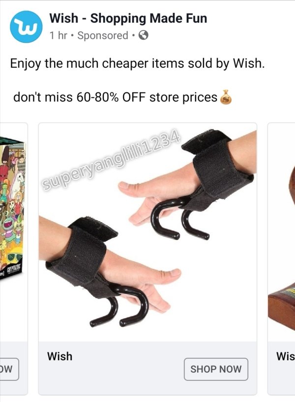 Insane Wish.com Recommendations (26 pics)