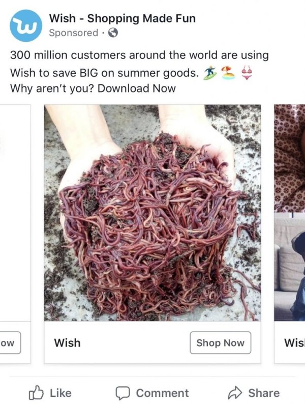 Insane Wish.com Recommendations (26 pics)