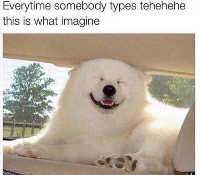 Dog Memes (35 pics)