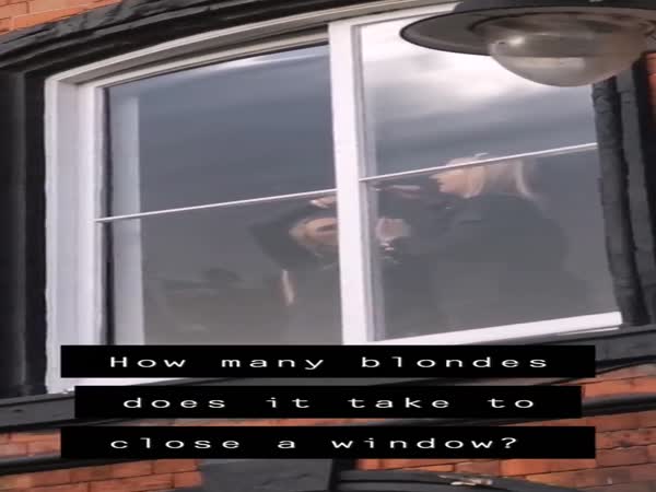 How Many Blondes...