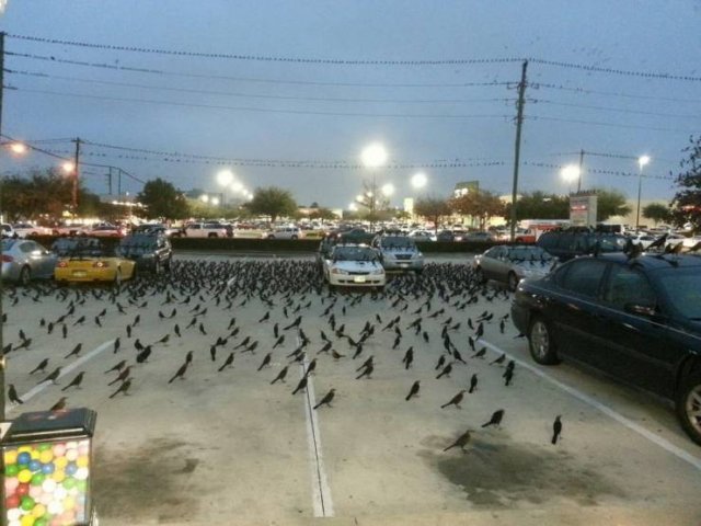 Explanation Needed (49 pics)