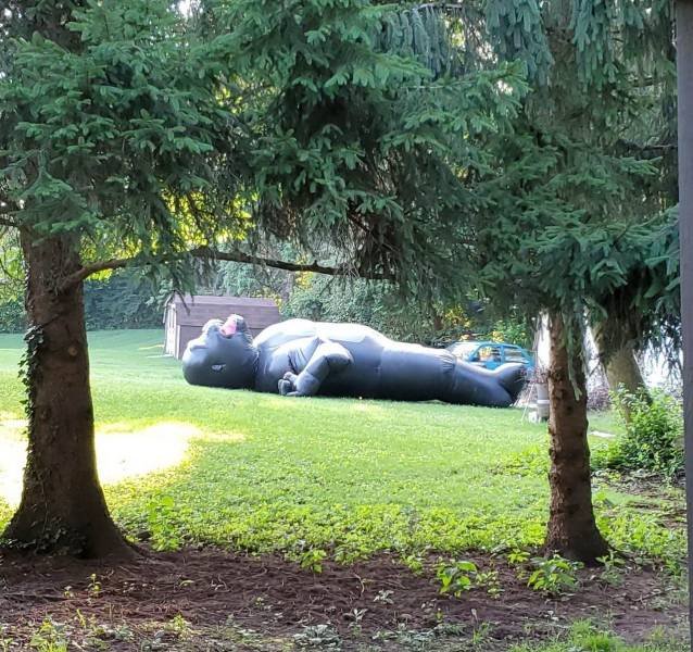 Explanation Needed (49 pics)