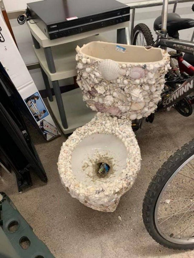 Explanation Needed (49 pics)