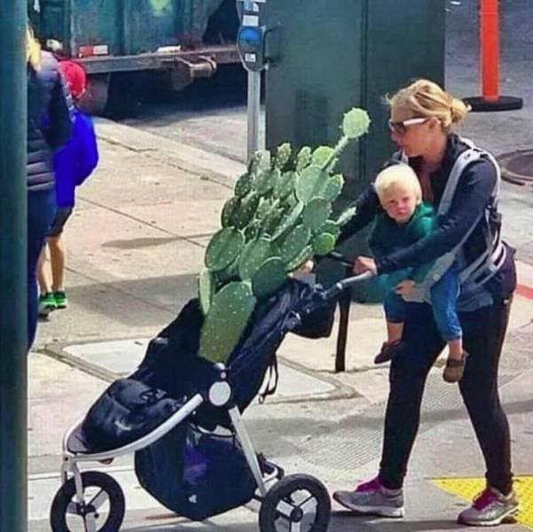 Explanation Needed (49 pics)