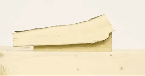 Things Cut In Half (34 pics)