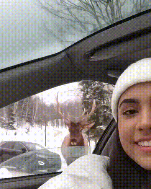 Acid Gifdump, February 20 (25 gifs)