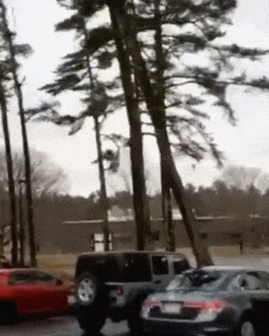 Acid Gifdump, February 20 (25 gifs)