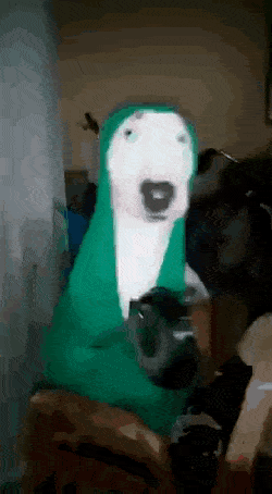Acid Gifdump, February 20 (25 gifs)