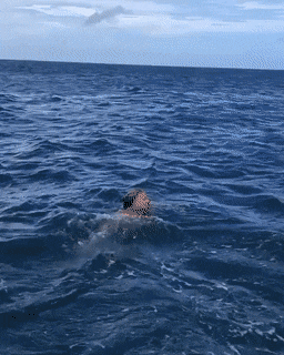 Acid Gifdump, February 20 (25 gifs)